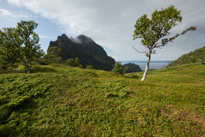 Klicke auf die Grafik für eine vergrößerte Ansicht

Name: 364_norge_08-2021_1616.jpg
Ansichten: 289
Größe: 227,1 KB
ID: 3113370