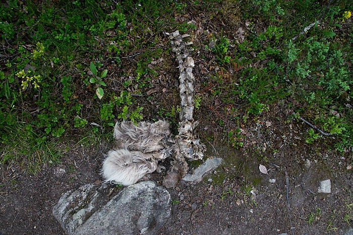 Klicke auf die Grafik für eine vergrößerte Ansicht  Name: DSC_0437_edited (Copy).jpg Ansichten: 0 Größe: 426,0 KB ID: 3107176