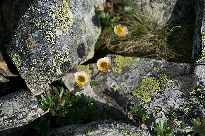 Klicke auf die Grafik für eine vergrößerte Ansicht  Name: DSC_0533_edited (Copy).jpg Ansichten: 0 Größe: 310,3 KB ID: 3107209