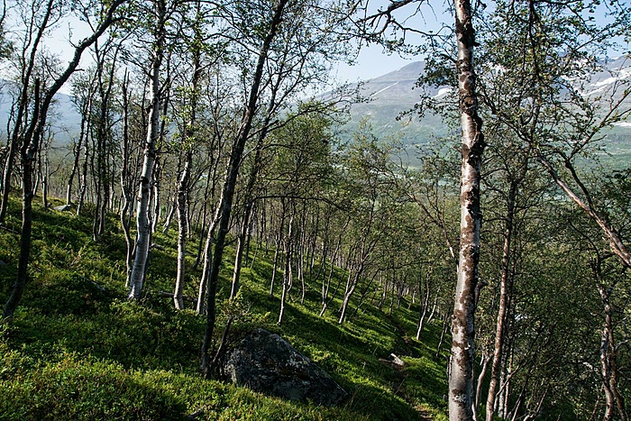 Klicke auf die Grafik für eine vergrößerte Ansicht

Name: DSC_0567_edited (Copy).jpg
Ansichten: 797
Größe: 538,3 KB
ID: 3108463