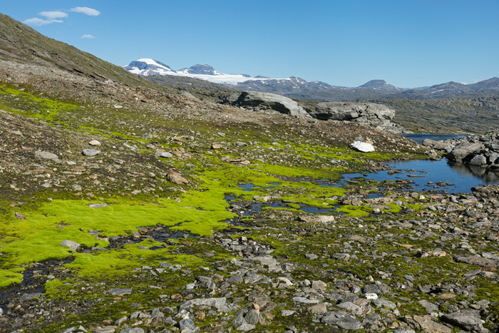 Klicke auf die Grafik für eine vergrößerte Ansicht  Name: 195_norge_08-2021_0880.jpg Ansichten: 0 Größe: 228,2 KB ID: 3109362