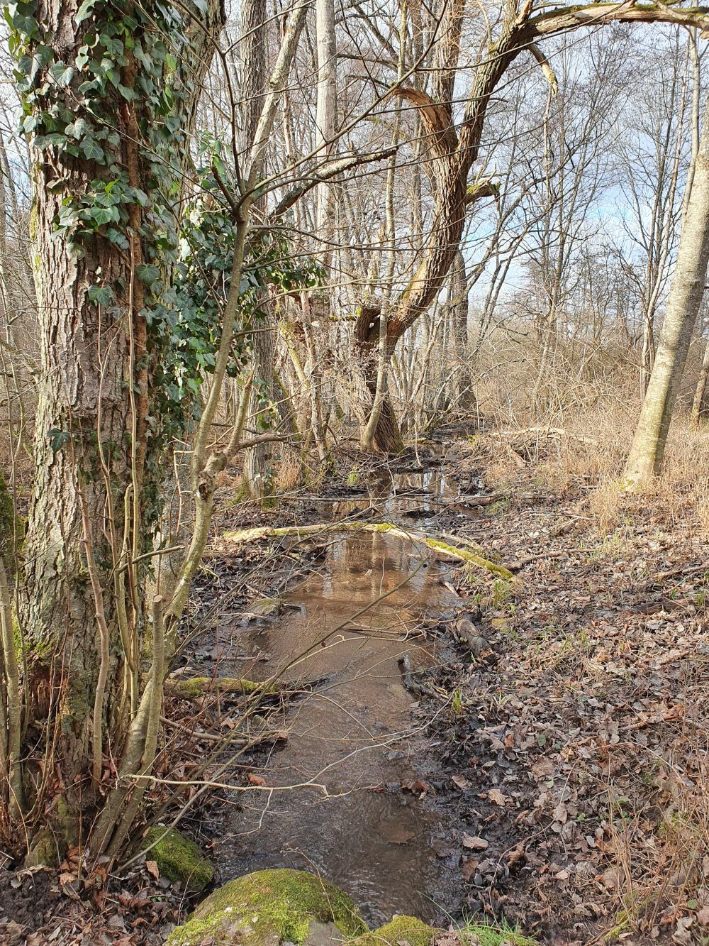 Klicke auf die Grafik für eine vergrößerte Ansicht  Name: Kettelsbach.jpg Ansichten: 0 Größe: 567,4 KB ID: 3111992