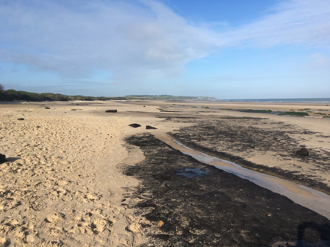 Klicke auf die Grafik für eine vergrößerte Ansicht  Name: 87 zum Cap Gris Nez.jpg Ansichten: 0 Größe: 321,1 KB ID: 3113018