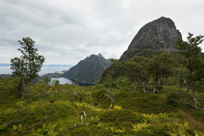 Klicke auf die Grafik für eine vergrößerte Ansicht

Name: 362_norge_08-2021_1595.jpg
Ansichten: 293
Größe: 167,3 KB
ID: 3113368