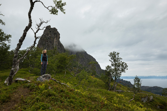 Klicke auf die Grafik für eine vergrößerte Ansicht

Name: 363_norge_08-2021_1598.jpg
Ansichten: 295
Größe: 146,6 KB
ID: 3113369