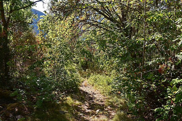 Klicke auf die Grafik für eine vergrößerte Ansicht  Name: DSC_0669.JPG Ansichten: 0 Größe: 1,15 MB ID: 3113430