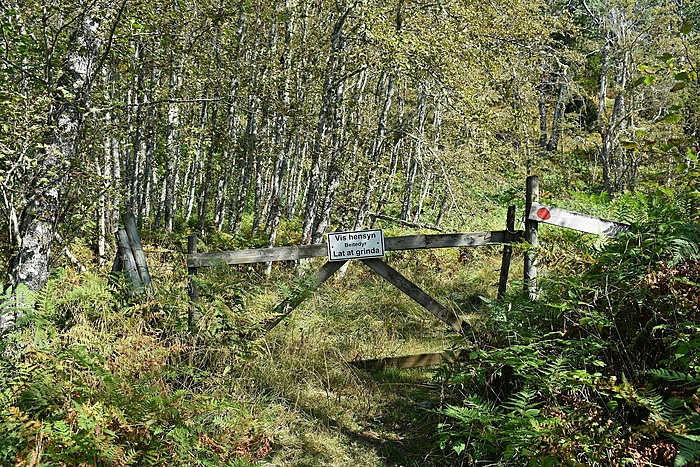 Klicke auf die Grafik für eine vergrößerte Ansicht  Name: DSC_0688.JPG Ansichten: 0 Größe: 1,26 MB ID: 3113447