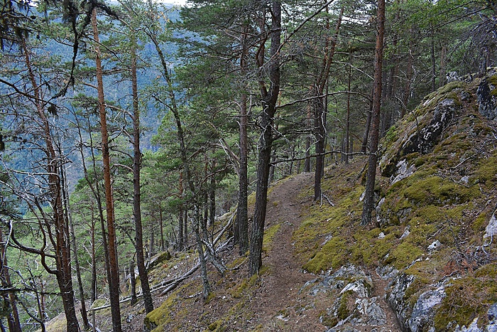 Klicke auf die Grafik für eine vergrößerte Ansicht  Name: DSC_0914.JPG Ansichten: 0 Größe: 1,13 MB ID: 3114493