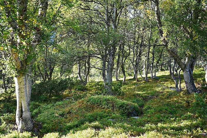 Klicke auf die Grafik für eine vergrößerte Ansicht

Name: DSC_1016.JPG
Ansichten: 1208
Größe: 1,17 MB
ID: 3114782
