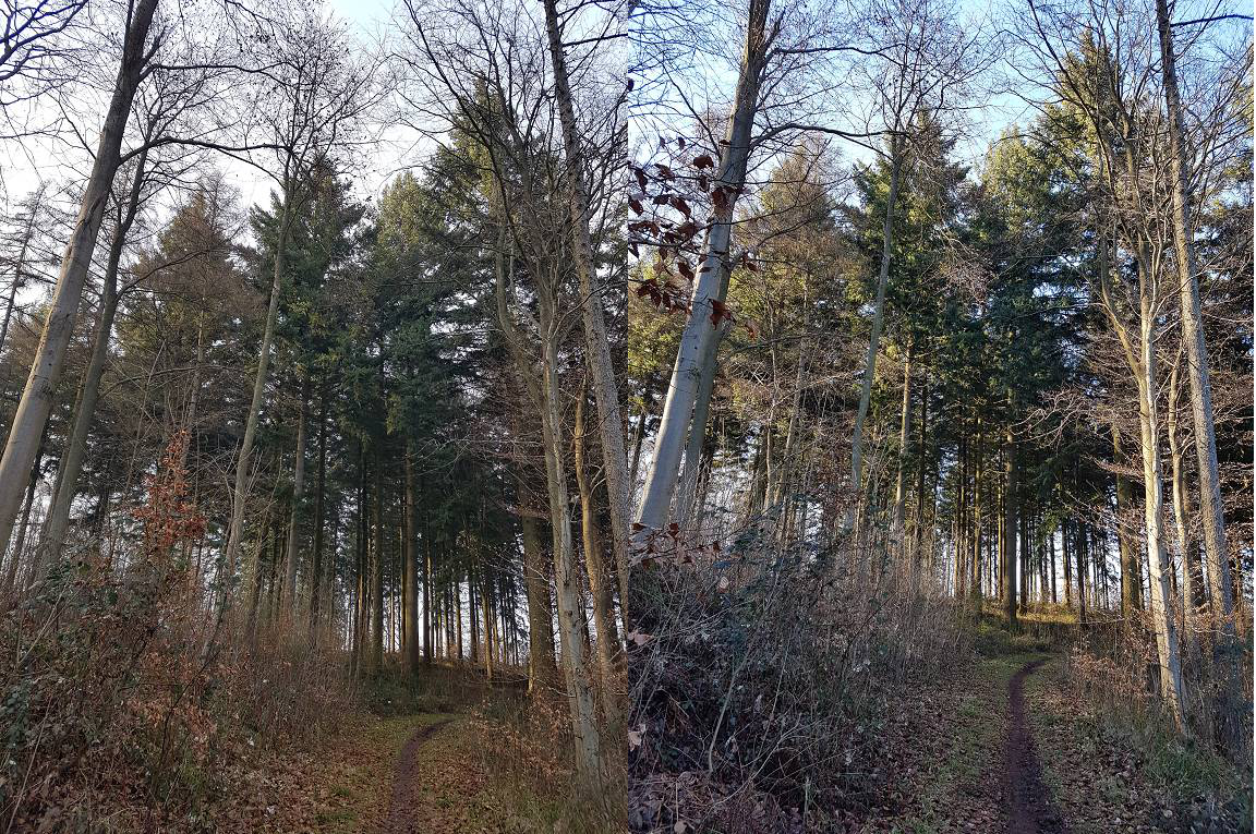 Klicke auf die Grafik für eine vergrößerte Ansicht  Name: 6 12.png Ansichten: 0 Größe: 2,44 MB ID: 3115930