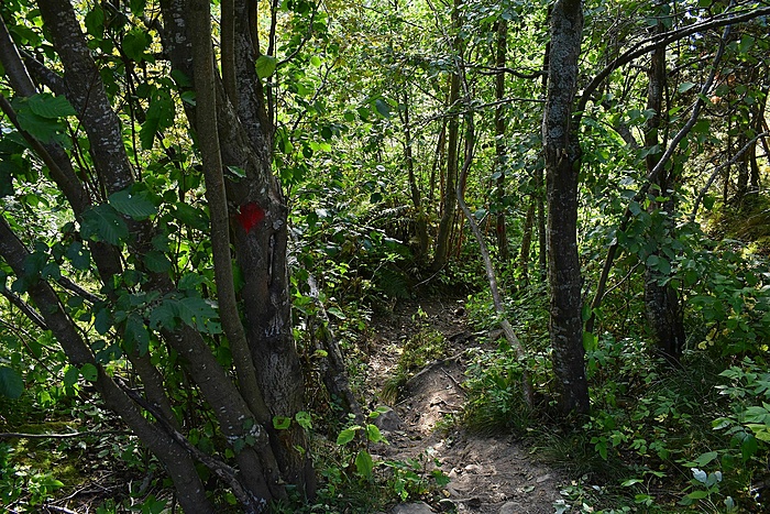 Klicke auf die Grafik für eine vergrößerte Ansicht

Name: DSC_0108.JPG
Ansichten: 725
Größe: 935,6 KB
ID: 3117558