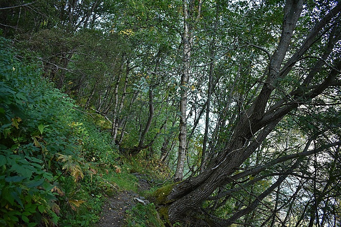 Klicke auf die Grafik für eine vergrößerte Ansicht

Name: DSC_0184.JPG
Ansichten: 638
Größe: 1.005,5 KB
ID: 3117764