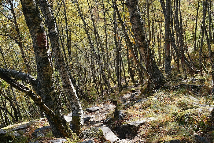 Klicke auf die Grafik für eine vergrößerte Ansicht

Name: DSC_0177.JPG
Ansichten: 642
Größe: 1,17 MB
ID: 3117765