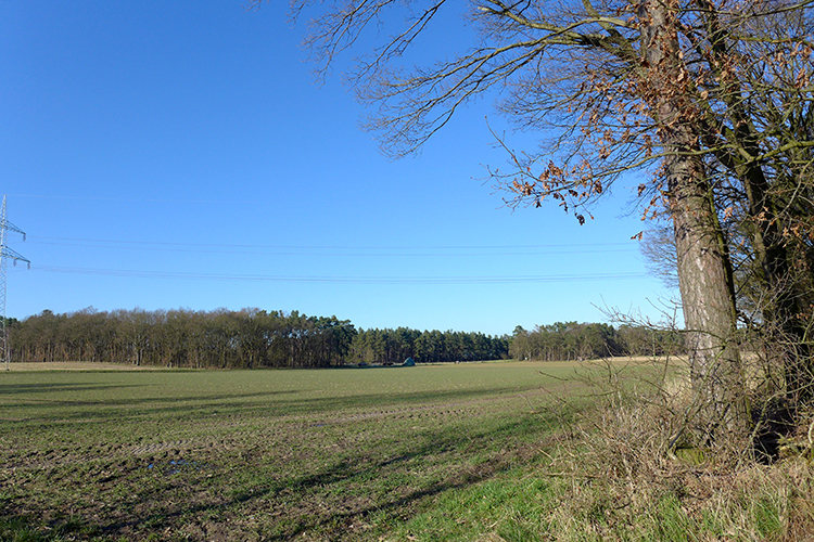 Klicke auf die Grafik für eine vergrößerte Ansicht

Name: Leineauen_637.jpg
Ansichten: 522
Größe: 531,0 KB
ID: 3117853