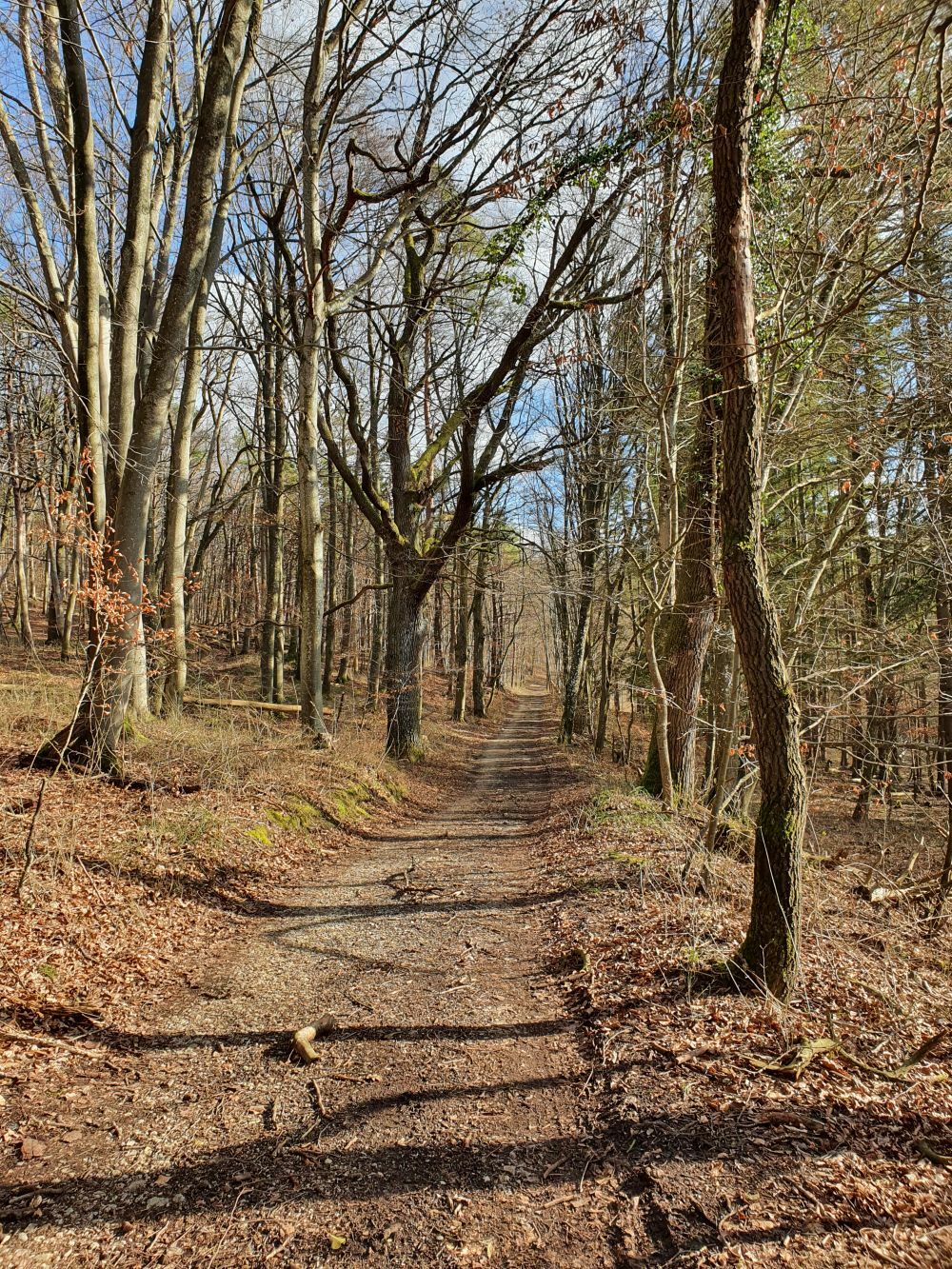 Klicke auf die Grafik für eine vergrößerte Ansicht  Name: Feb_Weg.jpg Ansichten: 0 Größe: 591,4 KB ID: 3118056