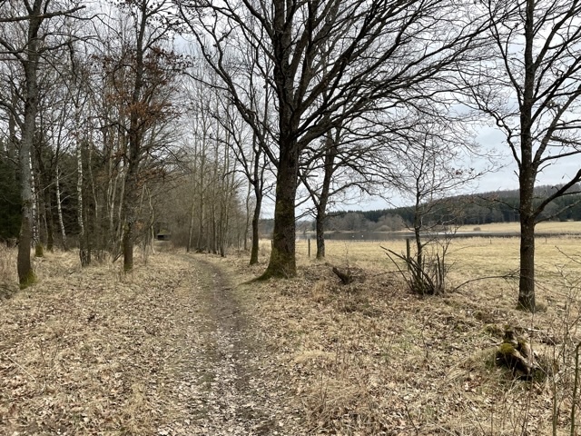 Klicke auf die Grafik für eine vergrößerte Ansicht

Name: 75A19F4E-46E2-4F71-B9CF-A1365454D645.jpeg
Ansichten: 75
Größe: 210,6 KB
ID: 3119497