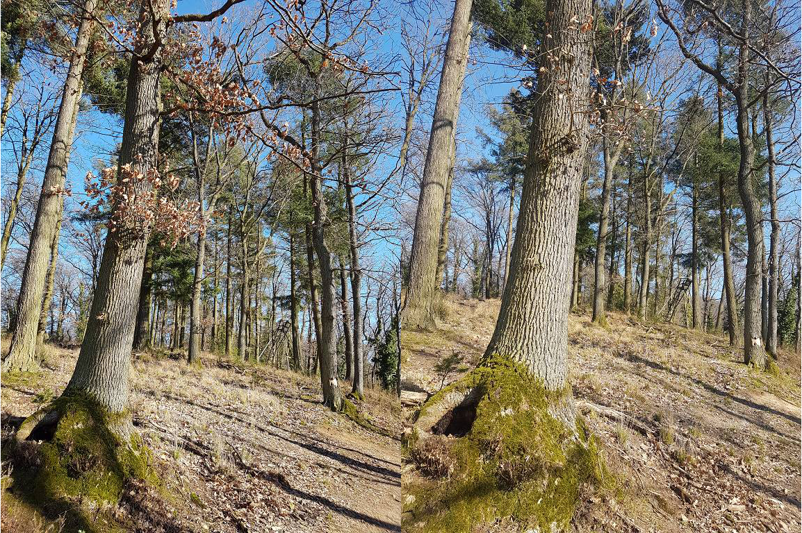Klicke auf die Grafik für eine vergrößerte Ansicht  Name: 2 3.png Ansichten: 0 Größe: 2,72 MB ID: 3121359