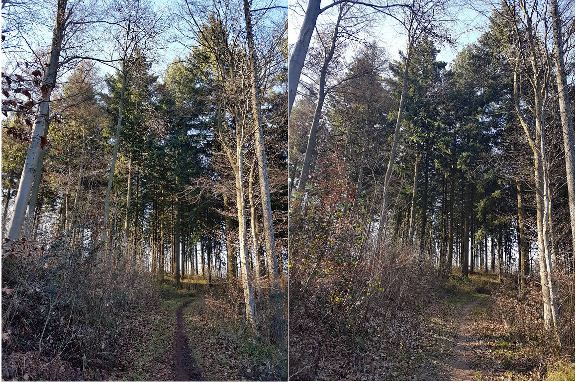 Klicke auf die Grafik für eine vergrößerte Ansicht  Name: 6 3.png Ansichten: 0 Größe: 2,56 MB ID: 3121368