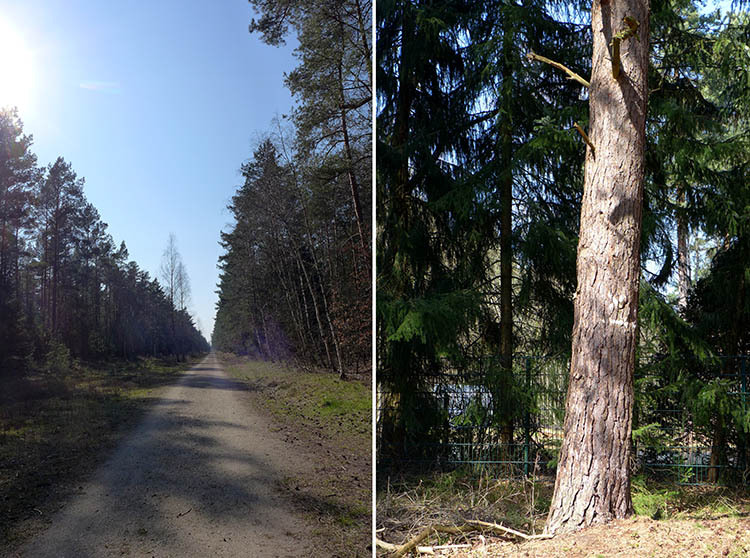Klicke auf die Grafik für eine vergrößerte Ansicht Name: E1_Hambuehren_Rixfoerde_01.jpg Ansichten: 0 Größe: 164,5 KB ID: 3121845