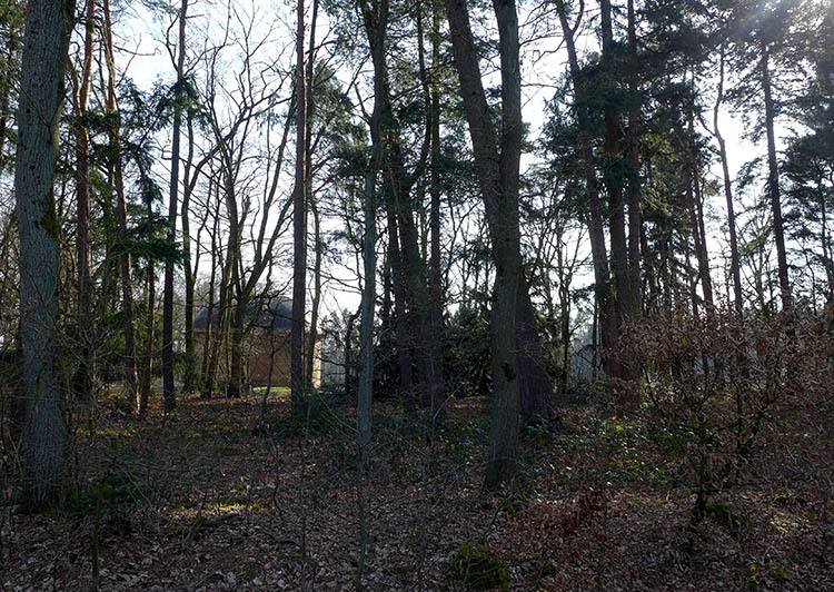 Klicke auf die Grafik für eine vergrößerte Ansicht  Name: E1_Hambuehren_Rixfoerde_16.jpg Ansichten: 0 Größe: 192,0 KB ID: 3121863