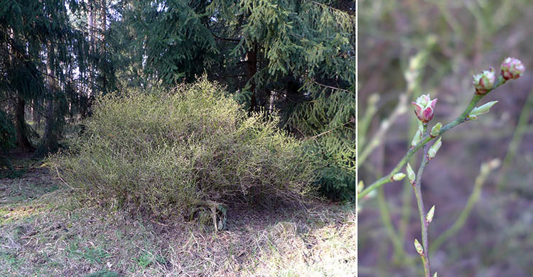 Klicke auf die Grafik für eine vergrößerte Ansicht

Name: E1_Hambuehren_Rixfoerde_30.jpg
Ansichten: 616
Größe: 115,9 KB
ID: 3121885