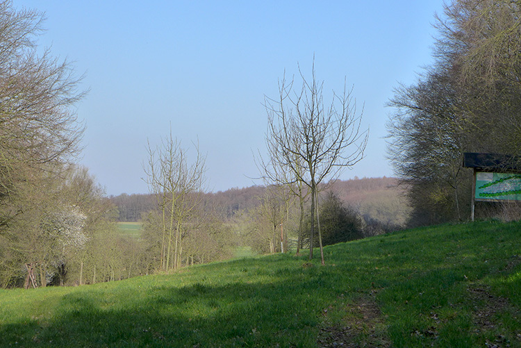 Klicke auf die Grafik für eine vergrößerte Ansicht

Name: E1_DuedinghauserBerg_02.jpg
Ansichten: 305
Größe: 195,2 KB
ID: 3122231