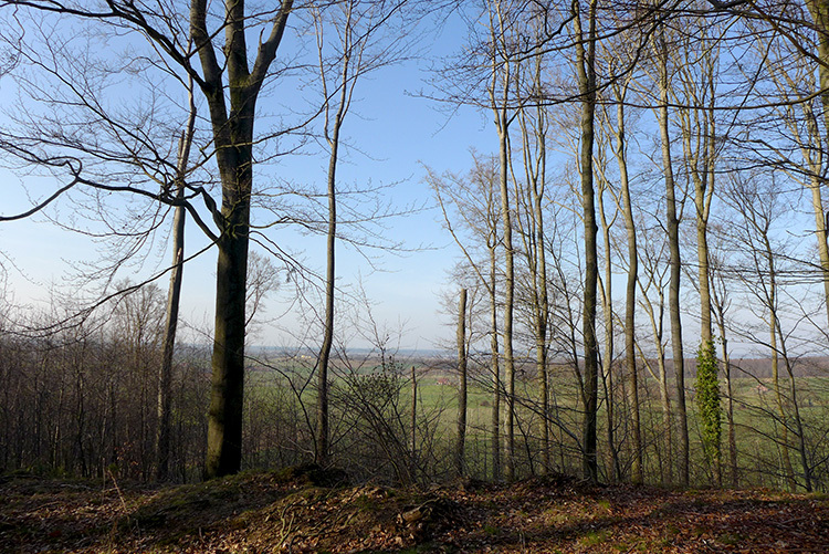 Klicke auf die Grafik für eine vergrößerte Ansicht

Name: E1_DuedinghauserBerg_06.jpg
Ansichten: 297
Größe: 314,7 KB
ID: 3122235