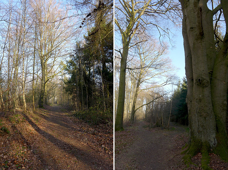 Klicke auf die Grafik für eine vergrößerte Ansicht

Name: E1_DuedinghauserBerg_07.jpg
Ansichten: 305
Größe: 345,2 KB
ID: 3122236