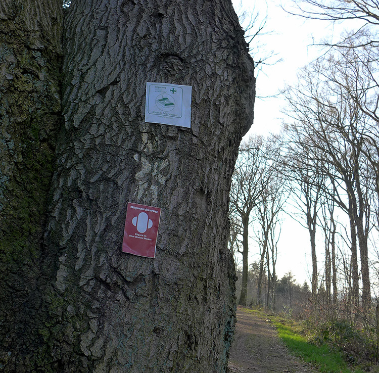 Klicke auf die Grafik für eine vergrößerte Ansicht

Name: E1_DuedinghauserBerg_08.jpg
Ansichten: 300
Größe: 375,5 KB
ID: 3122237