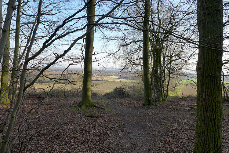 Klicke auf die Grafik für eine vergrößerte Ansicht

Name: E1_DuedinghauserBerg_09.jpg
Ansichten: 295
Größe: 299,3 KB
ID: 3122238