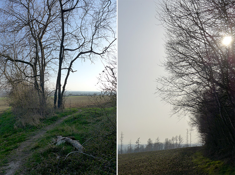 Klicke auf die Grafik für eine vergrößerte Ansicht

Name: E1_DuedinghauserBerg_10.jpg
Ansichten: 295
Größe: 263,8 KB
ID: 3122239