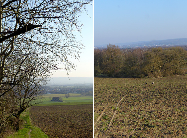 Klicke auf die Grafik für eine vergrößerte Ansicht

Name: E1_DuedinghauserBerg_11.jpg
Ansichten: 297
Größe: 299,0 KB
ID: 3122240
