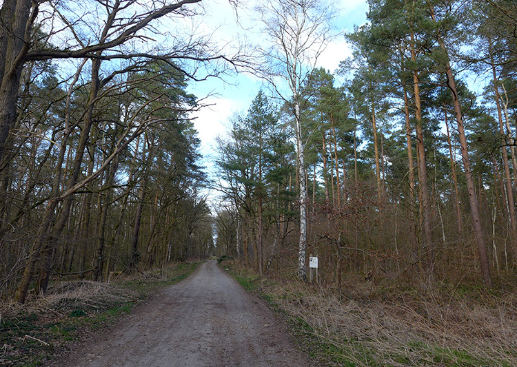 Klicke auf die Grafik für eine vergrößerte Ansicht  Name: E1_Rixfoerde_Fuhrberg_19.jpg Ansichten: 0 Größe: 322,2 KB ID: 3123142