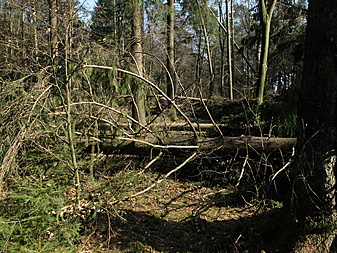 Klicke auf die Grafik für eine vergrößerte Ansicht

Name: DSCF8799.JPG
Ansichten: 584
Größe: 4,43 MB
ID: 3123360