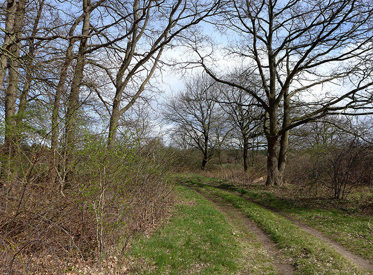 Klicke auf die Grafik für eine vergrößerte Ansicht  Name: E1_Gailhof_umzu_11.jpg Ansichten: 0 Größe: 731,6 KB ID: 3125527