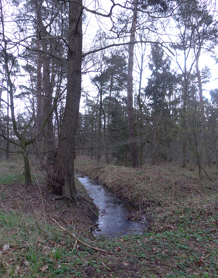 Klicke auf die Grafik für eine vergrößerte Ansicht  Name: E1_Gailhof_umzu_16.jpg Ansichten: 0 Größe: 1,02 MB ID: 3125532
