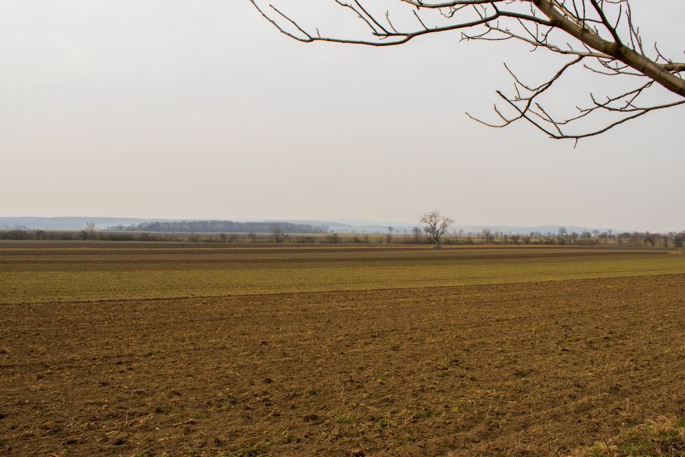 Klicke auf die Grafik für eine vergrößerte Ansicht  Name: 12 Am Horizont taucht die Bucklige Welt auf.jpg Ansichten: 1022 Größe: 112,0 KB ID: 3125622