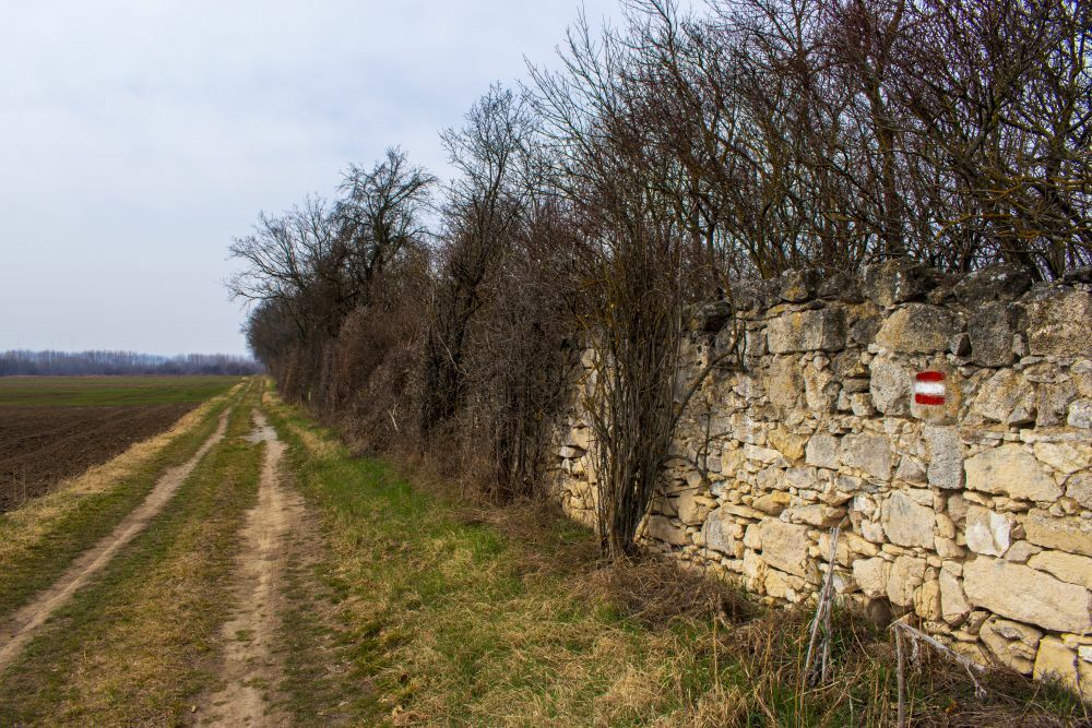 Klicke auf die Grafik für eine vergrößerte Ansicht  Name: 14 Auf dem Weg nach Siegendorf.jpg Ansichten: 998 Größe: 193,8 KB ID: 3125624