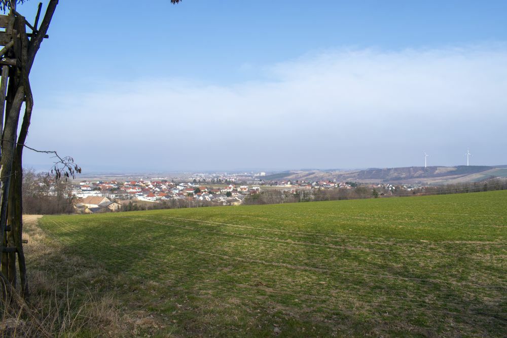 Klicke auf die Grafik für eine vergrößerte Ansicht  Name: 17 Rückblick auf Draßburg und Zagersdorf.jpg Ansichten: 983 Größe: 99,5 KB ID: 3125627
