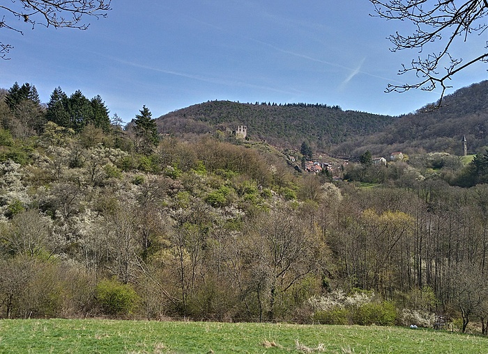 Klicke auf die Grafik für eine vergrößerte Ansicht  Name: 20220411_123527_HDR (2).jpg Ansichten: 54 Größe: 3,27 MB ID: 3126707
