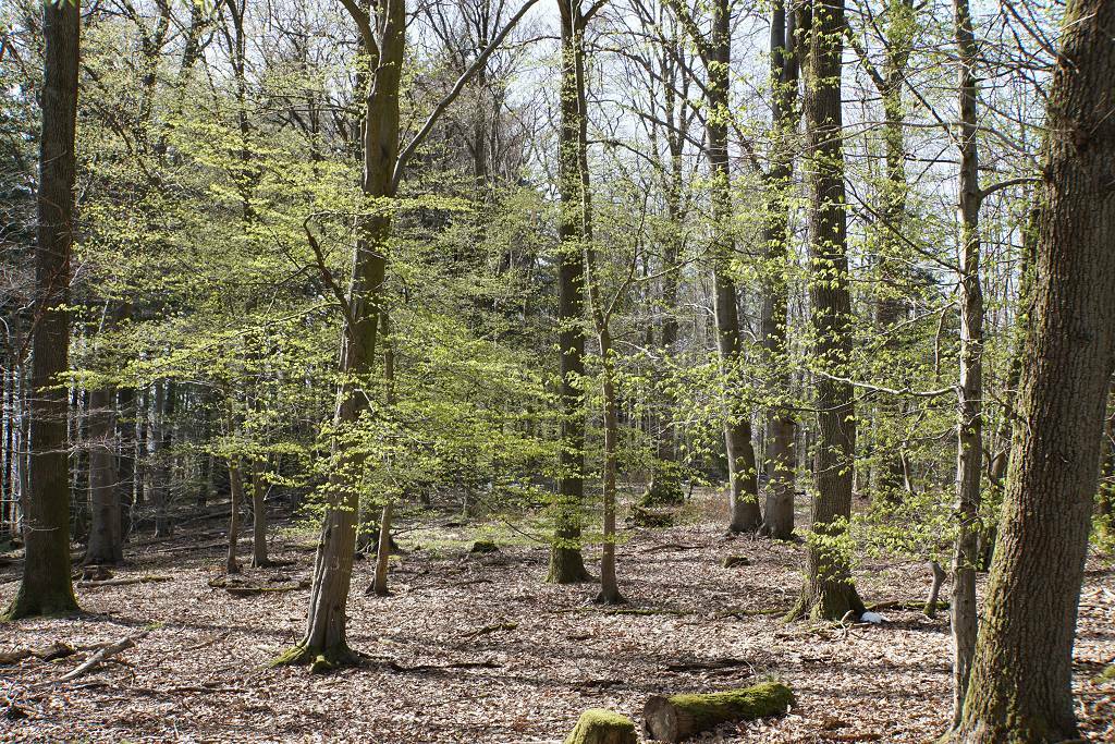 Klicke auf die Grafik für eine vergrößerte Ansicht

Name: DSC05090_(1024_x_768).jpg
Ansichten: 266
Größe: 277,4 KB
ID: 3126895