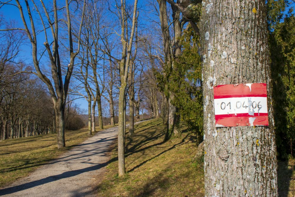 Klicke auf die Grafik für eine vergrößerte Ansicht  Name: 01 Start im Begrischpark von Perchtoldsdorf.jpg Ansichten: 0 Größe: 203,4 KB ID: 3127337