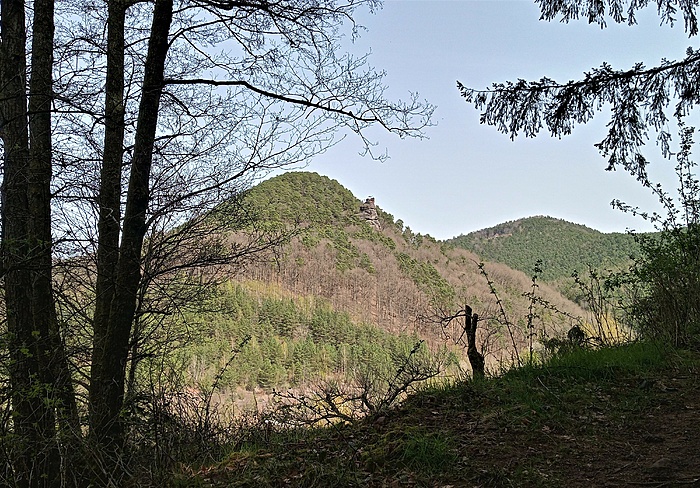 Klicke auf die Grafik für eine vergrößerte Ansicht  Name: 20220413_142353_HDR (2).jpg Ansichten: 76 Größe: 4,57 MB ID: 3127383