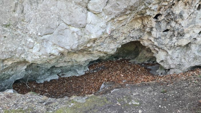 Klicke auf die Grafik für eine vergrößerte Ansicht

Name: 178 Schnattihöhle bei Burgruine Arnstein 01.jpg
Ansichten: 99
Größe: 88,1 KB
ID: 3127702