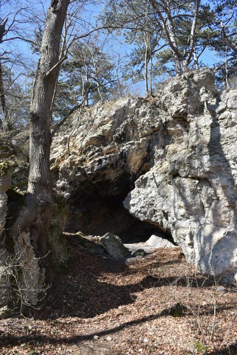 Klicke auf die Grafik für eine vergrößerte Ansicht

Name: 179 Burghöhle bei Burgruine Arnstein 01.jpg
Ansichten: 114
Größe: 127,0 KB
ID: 3127704