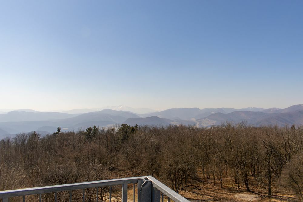 Klicke auf die Grafik für eine vergrößerte Ansicht  Name: 14 Obligatorischer Blick zum Schneeberg.jpg Ansichten: 0 Größe: 76,8 KB ID: 3127791