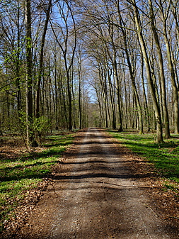 Klicke auf die Grafik für eine vergrößerte Ansicht  Name: DSCF1171.JPG Ansichten: 0 Größe: 7,07 MB ID: 3127809