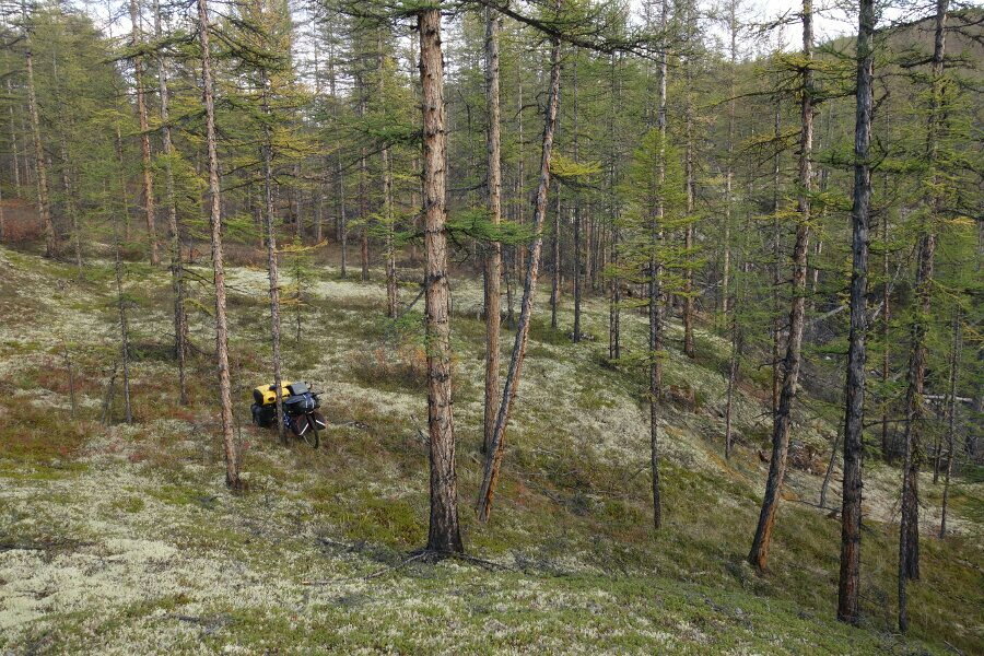 Klicke auf die Grafik für eine vergrößerte Ansicht  Name: tscherskigebirge117.jpg Ansichten: 0 Größe: 221,3 KB ID: 3127866