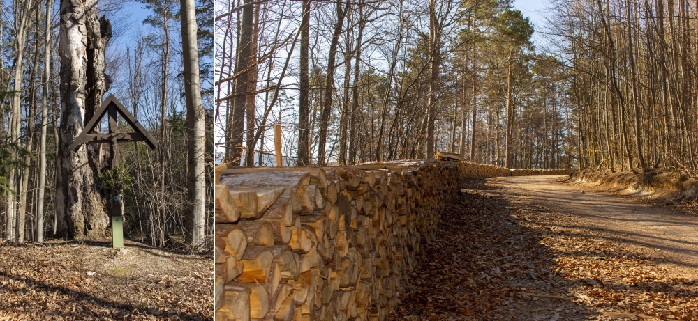 Klicke auf die Grafik für eine vergrößerte Ansicht  Name: 01 Zunächst geht es durch den Wald aufwärts.jpg Ansichten: 0 Größe: 289,3 KB ID: 3128145