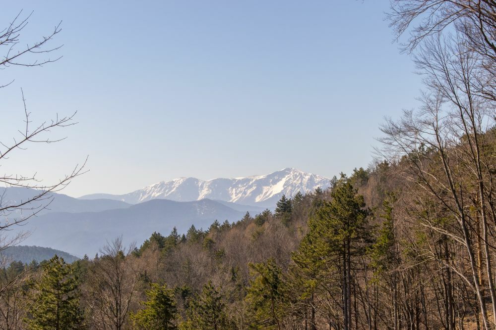 Klicke auf die Grafik für eine vergrößerte Ansicht  Name: 07 Der Schneeberg taucht mal wieder auf.jpg Ansichten: 0 Größe: 128,8 KB ID: 3128147